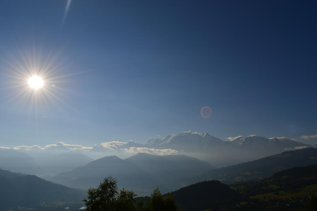 La Joubarbe Au Balcon Du Mont-Blanc Villa Sallanches Eksteriør bilde